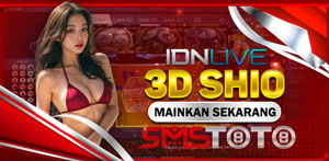 Casino Games 3d shio